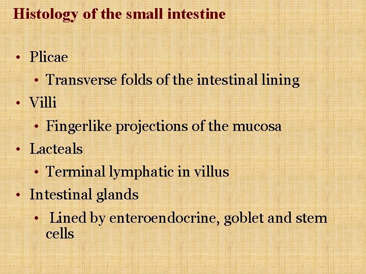 Histology of the small intestine • Plicae • Transverse folds of the intestinal lining Histology of the small intestine • Plicae • Transverse folds of the intestinal lining