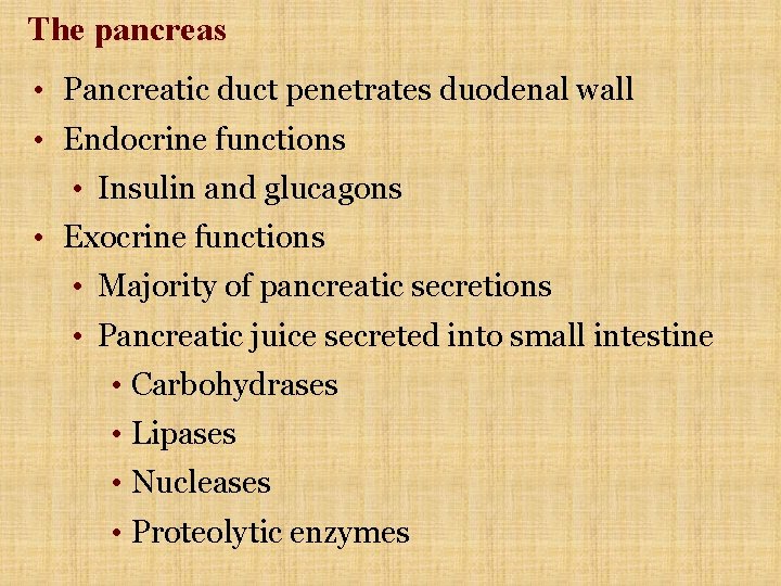 The pancreas • Pancreatic duct penetrates duodenal wall • Endocrine functions • Insulin and The pancreas • Pancreatic duct penetrates duodenal wall • Endocrine functions • Insulin and