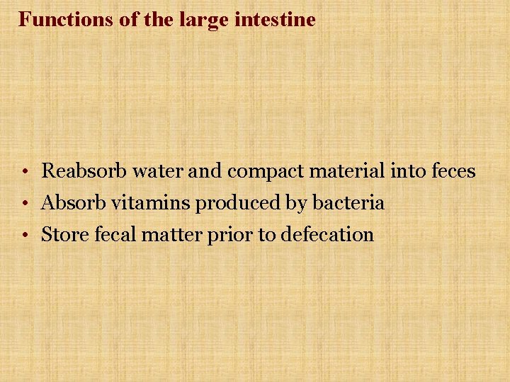 Functions of the large intestine • Reabsorb water and compact material into feces • Functions of the large intestine • Reabsorb water and compact material into feces •