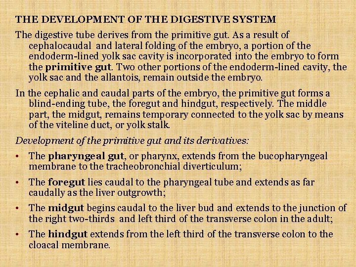 THE DEVELOPMENT OF THE DIGESTIVE SYSTEM The digestive tube derives from the primitive gut. THE DEVELOPMENT OF THE DIGESTIVE SYSTEM The digestive tube derives from the primitive gut.