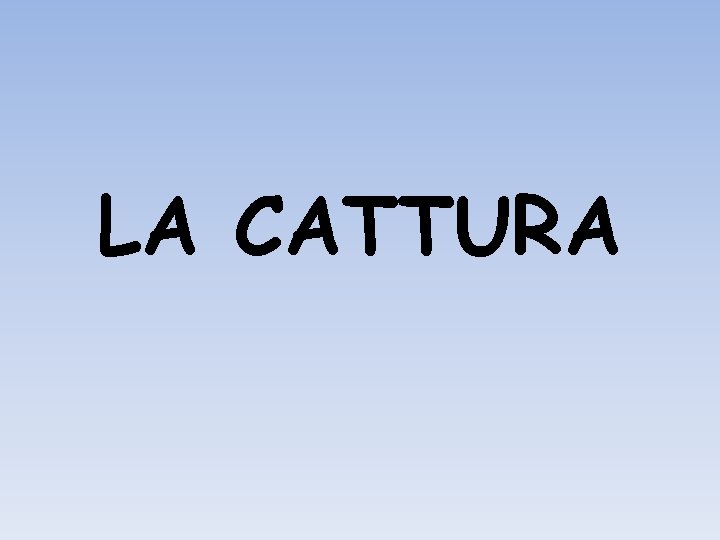 LA CATTURA 