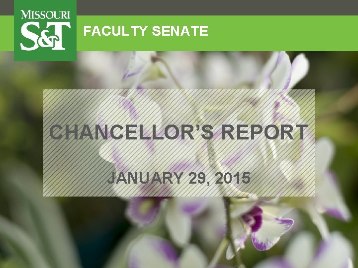 FACULTY SENATE CHANCELLOR’S REPORT • • • • • • • • JANUARY 29,