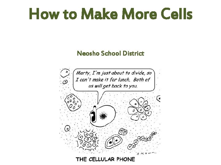 How to Make More Cells Neosho School District 