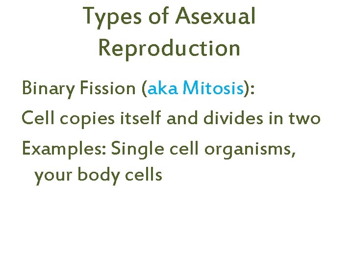 Types of Asexual Reproduction Binary Fission (aka Mitosis): Cell copies itself and divides in