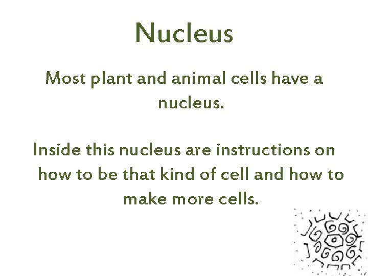 Nucleus Most plant and animal cells have a nucleus. Inside this nucleus are instructions