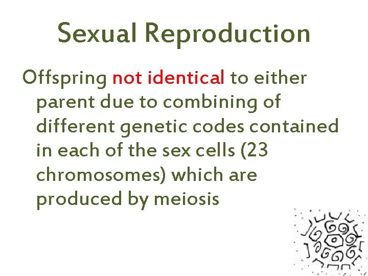 Sexual Reproduction Offspring not identical to either parent due to combining of different genetic