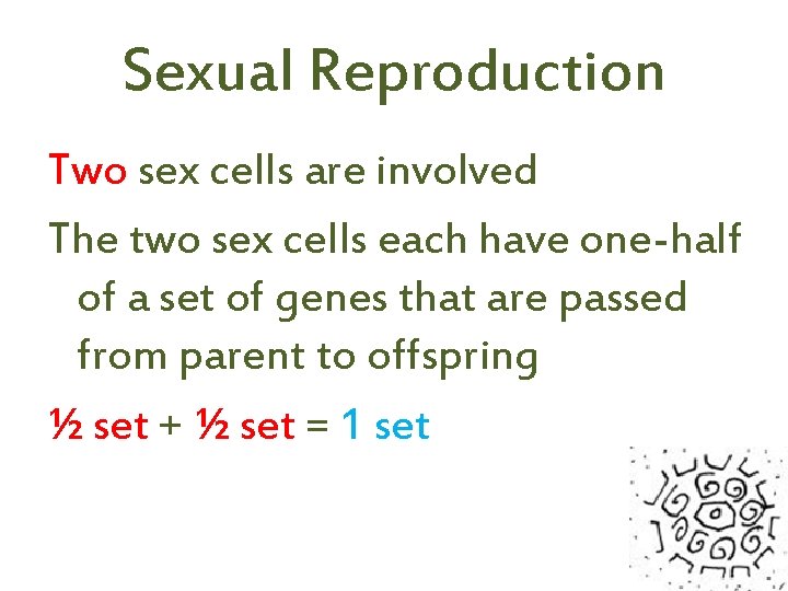 Sexual Reproduction Two sex cells are involved The two sex cells each have one-half