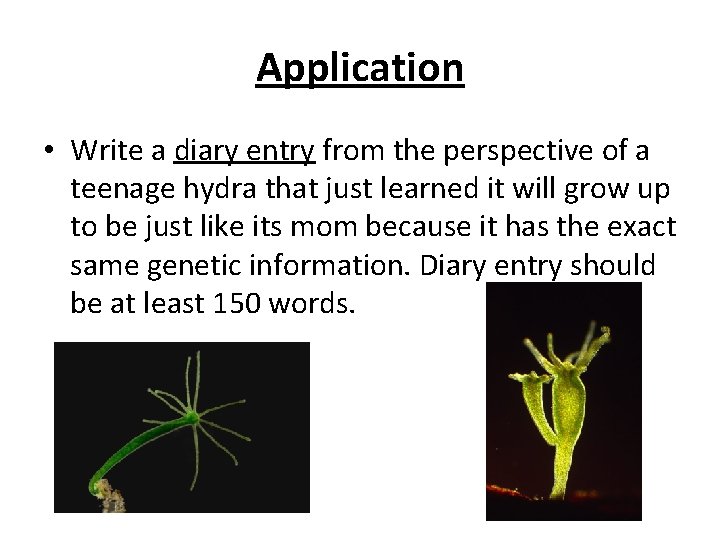 Application • Write a diary entry from the perspective of a teenage hydra that