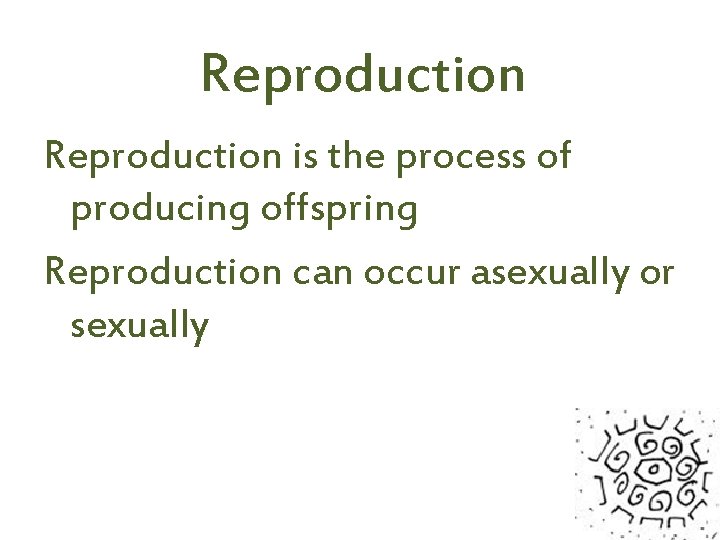 Reproduction is the process of producing offspring Reproduction can occur asexually or sexually 