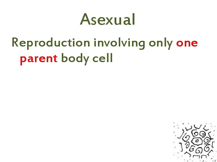 Asexual Reproduction involving only one parent body cell 