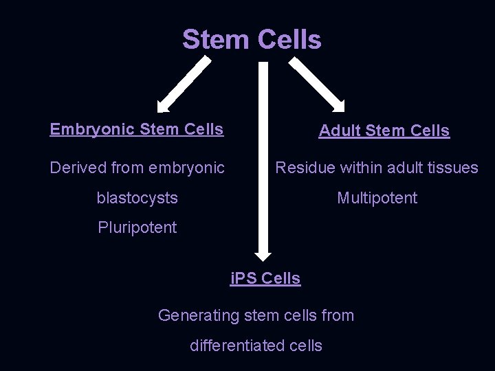 Stem Cells Embryonic Stem Cells Adult Stem Cells Derived from embryonic Residue within adult