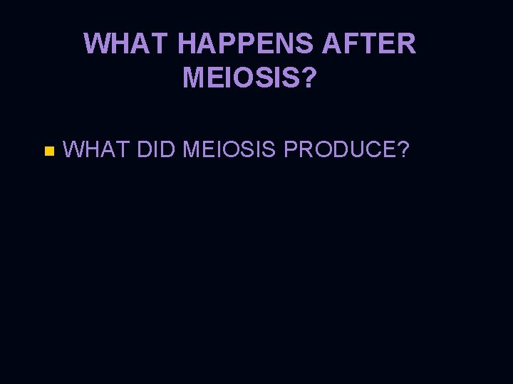 WHAT HAPPENS AFTER MEIOSIS? n WHAT DID MEIOSIS PRODUCE? 