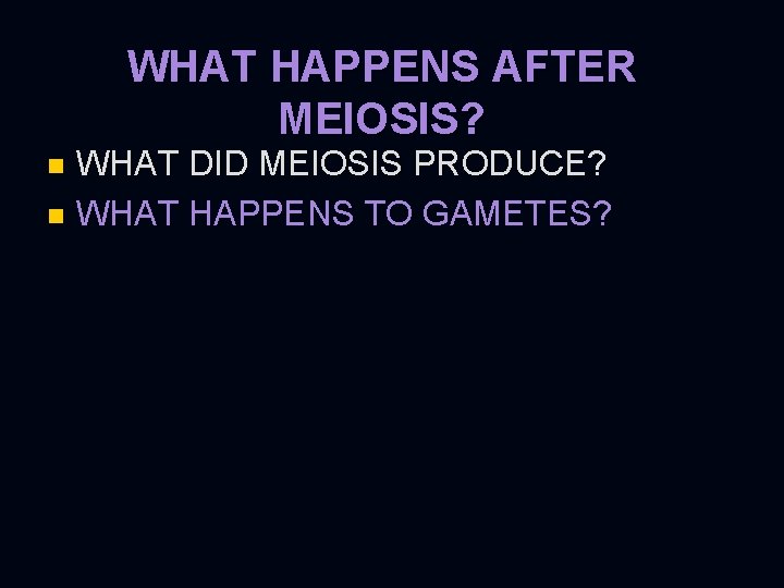 WHAT HAPPENS AFTER MEIOSIS? WHAT DID MEIOSIS PRODUCE? n WHAT HAPPENS TO GAMETES? n