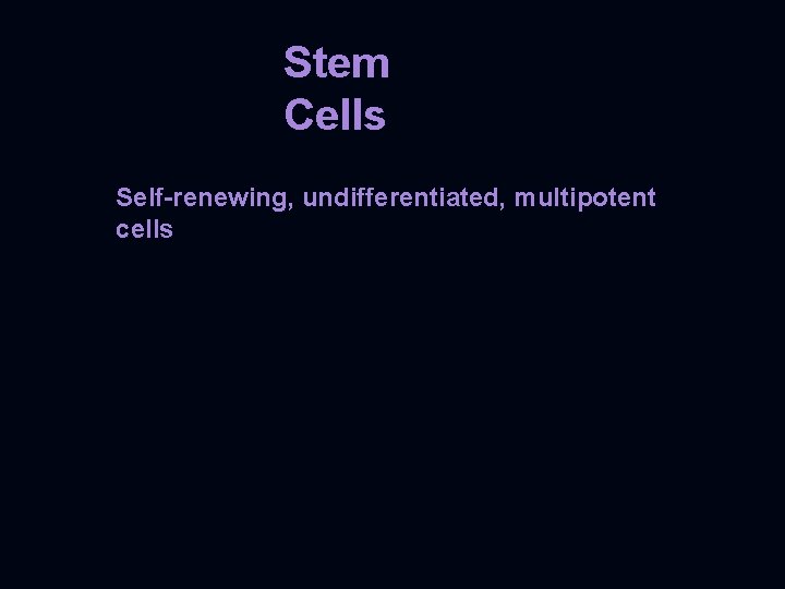 Stem Cells Self-renewing, undifferentiated, multipotent cells 