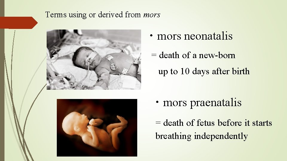 Terms using or derived from mors ・mors neonatalis = death of a new-born up