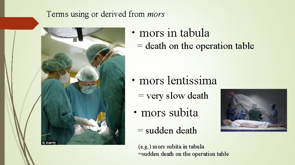 Terms using or derived from mors ・mors in tabula = death on the operation