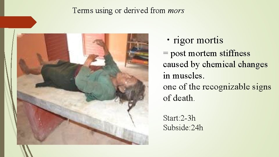 Terms using or derived from mors ・rigor mortis = post mortem stiffness caused by