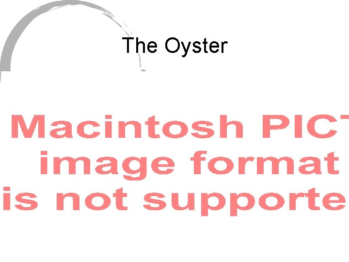 The Oyster 