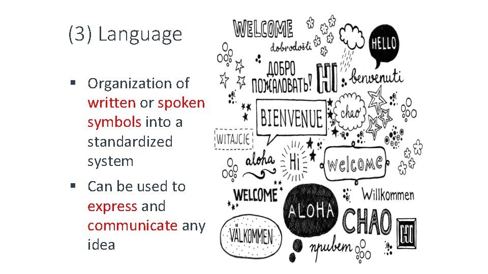 (3) Language § Organization of written or spoken symbols into a standardized system §