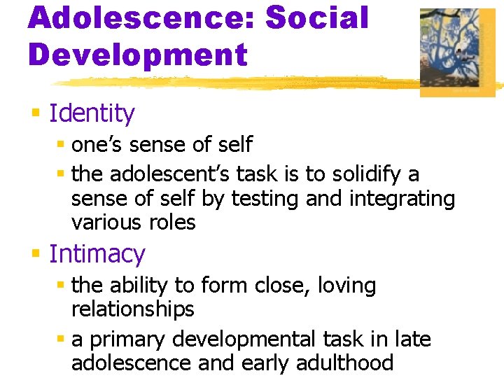 Adolescence: Social Development § Identity § one’s sense of self § the adolescent’s task