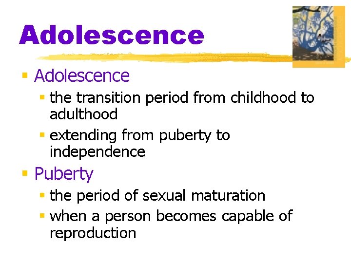 Adolescence § the transition period from childhood to adulthood § extending from puberty to