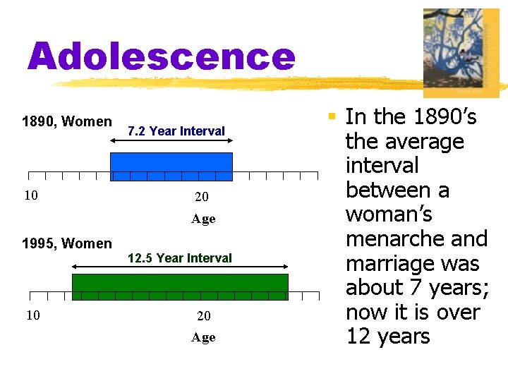 Adolescence 1890, Women 10 7. 2 Year Interval 20 Age 1995, Women 12. 5