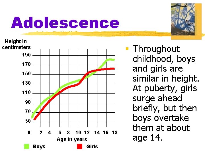 Adolescence Height in centimeters 190 170 150 130 110 90 70 50 0 2