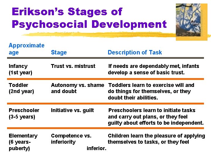 Erikson’s Stages of Psychosocial Development Approximate age Stage Description of Task Infancy (1 st