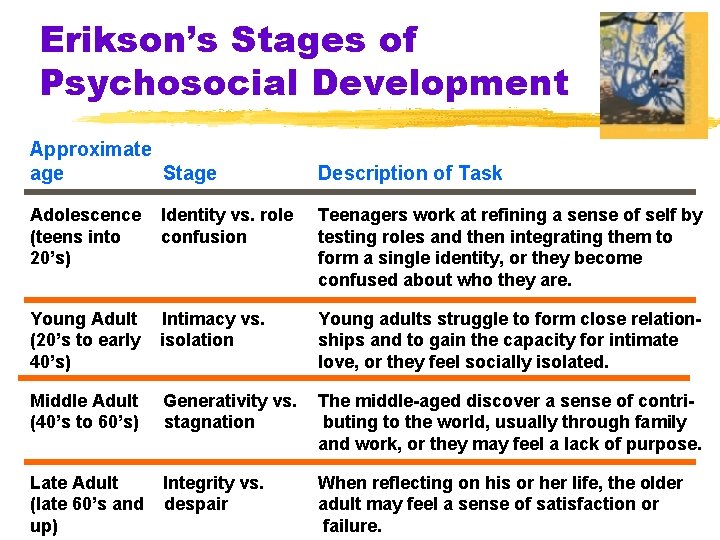 Erikson’s Stages of Psychosocial Development Approximate age Stage Description of Task Adolescence (teens into