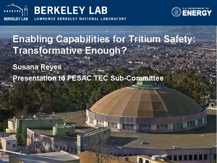 Enabling Capabilities for Tritium Safety: Transformative Enough? Susana Reyes Presentation to FESAC TEC Sub-Committee