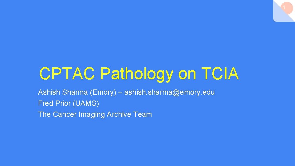 1 CPTAC Pathology on TCIA Ashish Sharma (Emory) – ashish. sharma@emory. edu Fred Prior