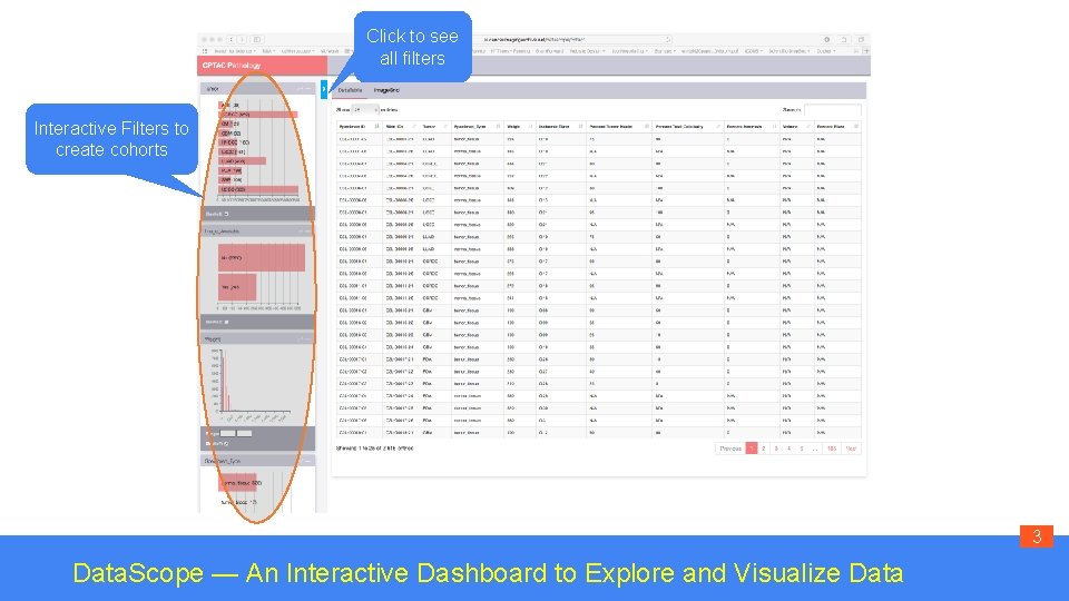 Click to see all filters Interactive Filters to create cohorts 3 Data. Scope —