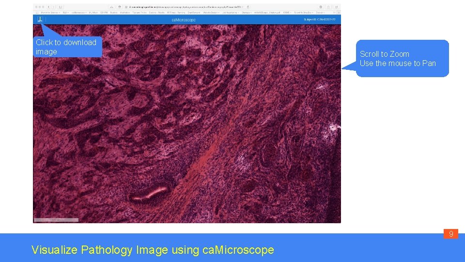 Click to download image Scroll to Zoom Use the mouse to Pan 9 Visualize