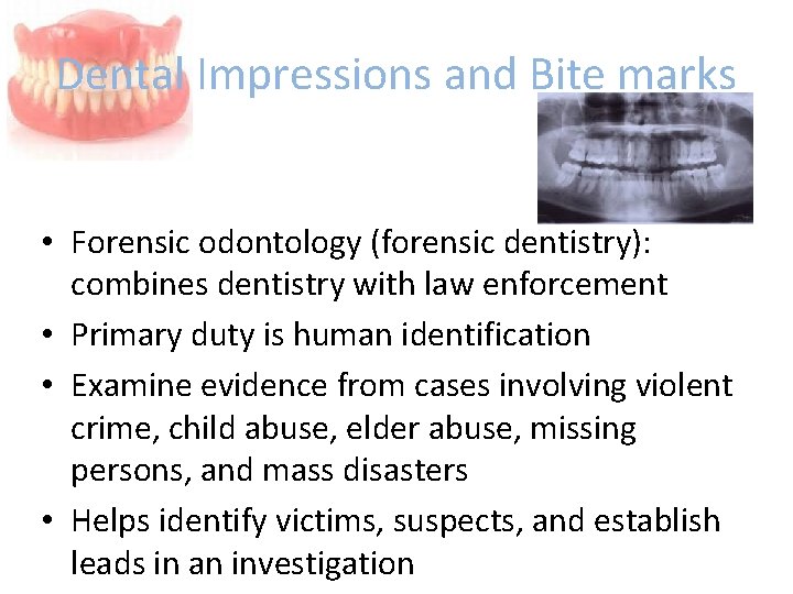 Dental Impressions and Bite marks • Forensic odontology (forensic dentistry): combines dentistry with law