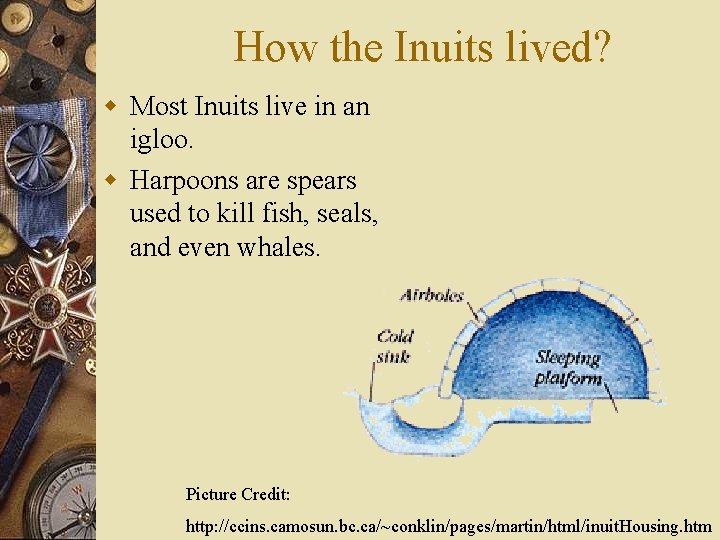 How the Inuits lived? w Most Inuits live in an igloo. w Harpoons are