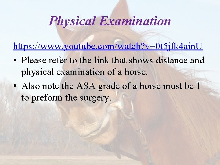 Physical Examination https: //www. youtube. com/watch? v=0 t 5 jfk 4 ain. U •