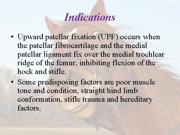 Indications • Upward patellar fixation (UPF) occurs when the patellar fibrocartilage and the medial