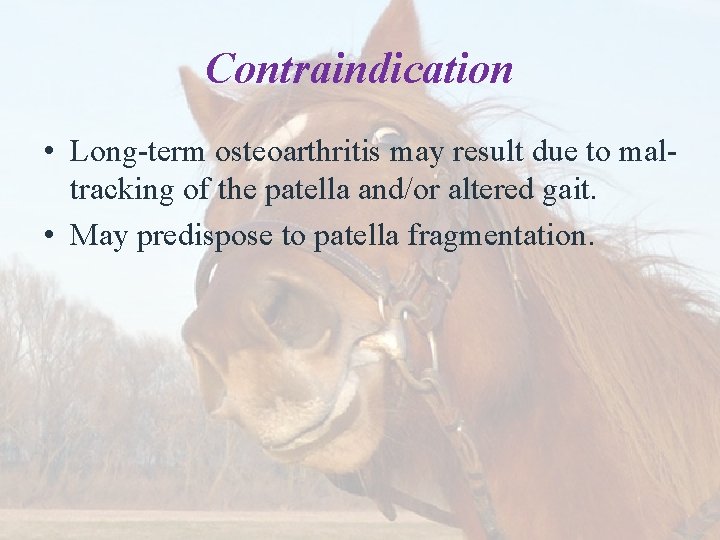 Contraindication • Long-term osteoarthritis may result due to maltracking of the patella and/or altered