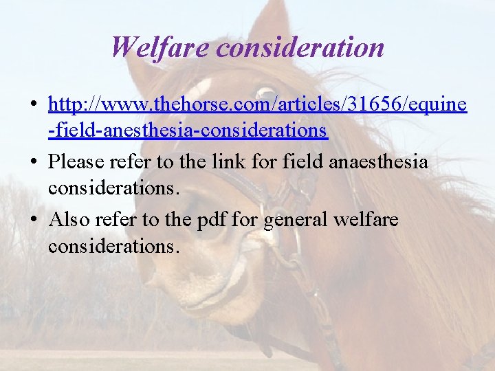 Welfare consideration • http: //www. thehorse. com/articles/31656/equine -field-anesthesia-considerations • Please refer to the link