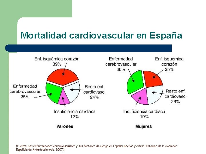 Mortalidad cardiovascular en España Mortalidad cardiovascular en España
