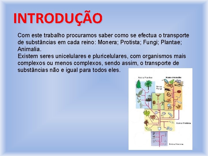 INTRODUÇÃO Com este trabalho procuramos saber como se efectua o transporte de substâncias em