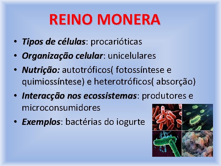 REINO MONERA Tipos de células: células procarióticas Organização celular: celular unicelulares Nutrição: autotróficos( fotossíntese