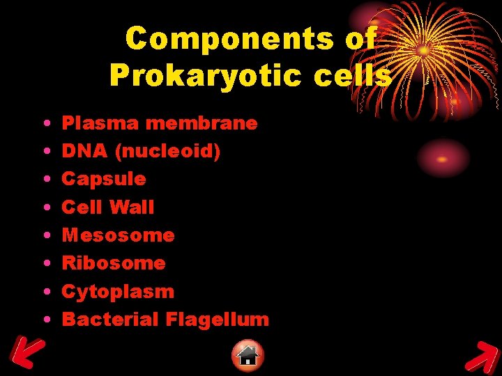 Components of Prokaryotic cells • • Plasma membrane DNA (nucleoid) Capsule Cell Wall Mesosome
