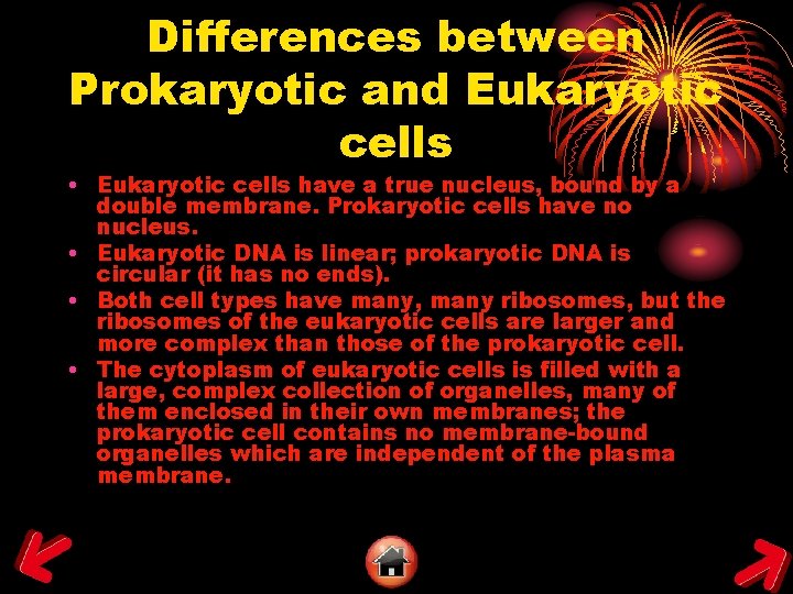 Differences between Prokaryotic and Eukaryotic cells • Eukaryotic cells have a true nucleus, bound