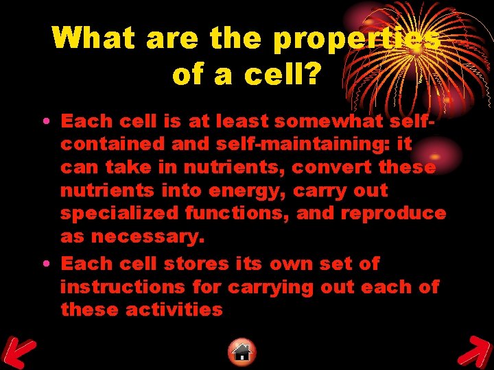What are the properties of a cell? • Each cell is at least somewhat