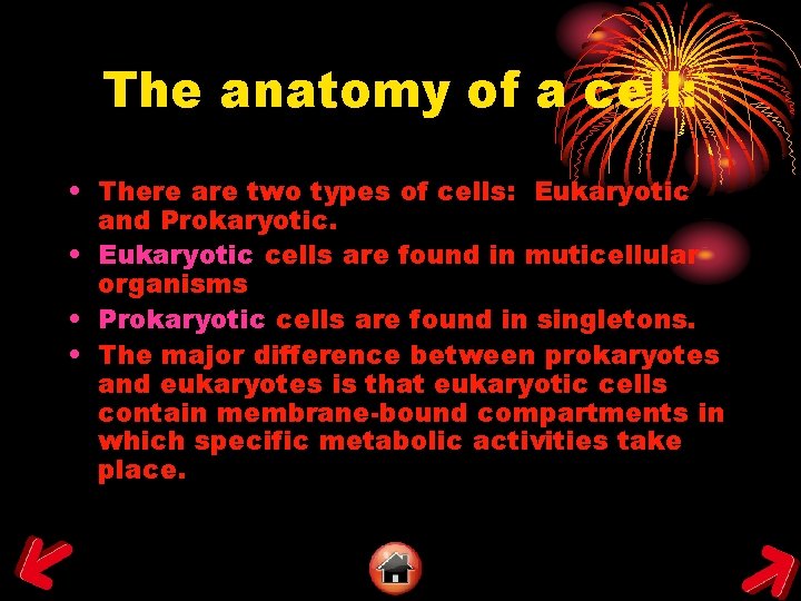 The anatomy of a cell: • There are two types of cells: Eukaryotic and