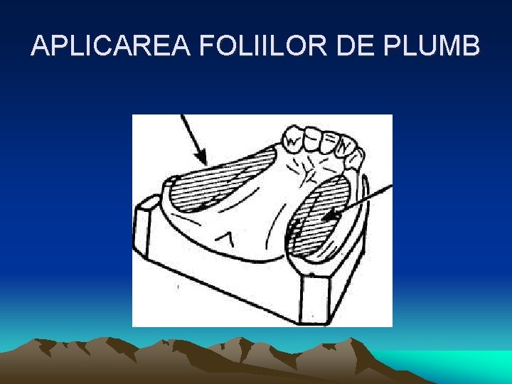 APLICAREA FOLIILOR DE PLUMB 