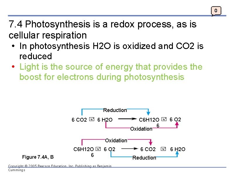 0 7. 4 Photosynthesis is a redox process, as is cellular respiration • In