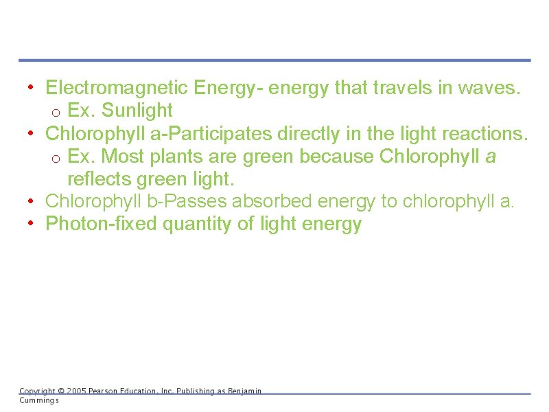  • Electromagnetic Energy- energy that travels in waves. o Ex. Sunlight • Chlorophyll