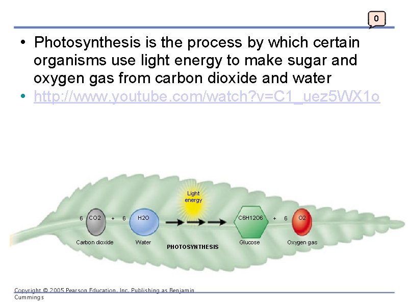 0 • Photosynthesis is the process by which certain organisms use light energy to